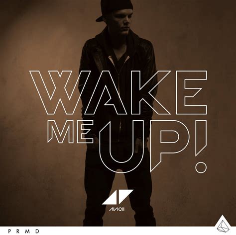 Avicii Wake Me Up Tekst Avicii - Wake Me Up (Lyrics) - YouTube